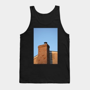 Golden Hour Shower Tank Top